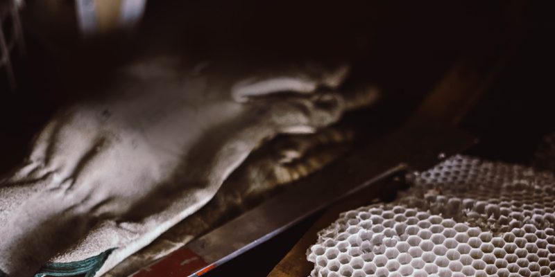 whats_manuka3_800x500